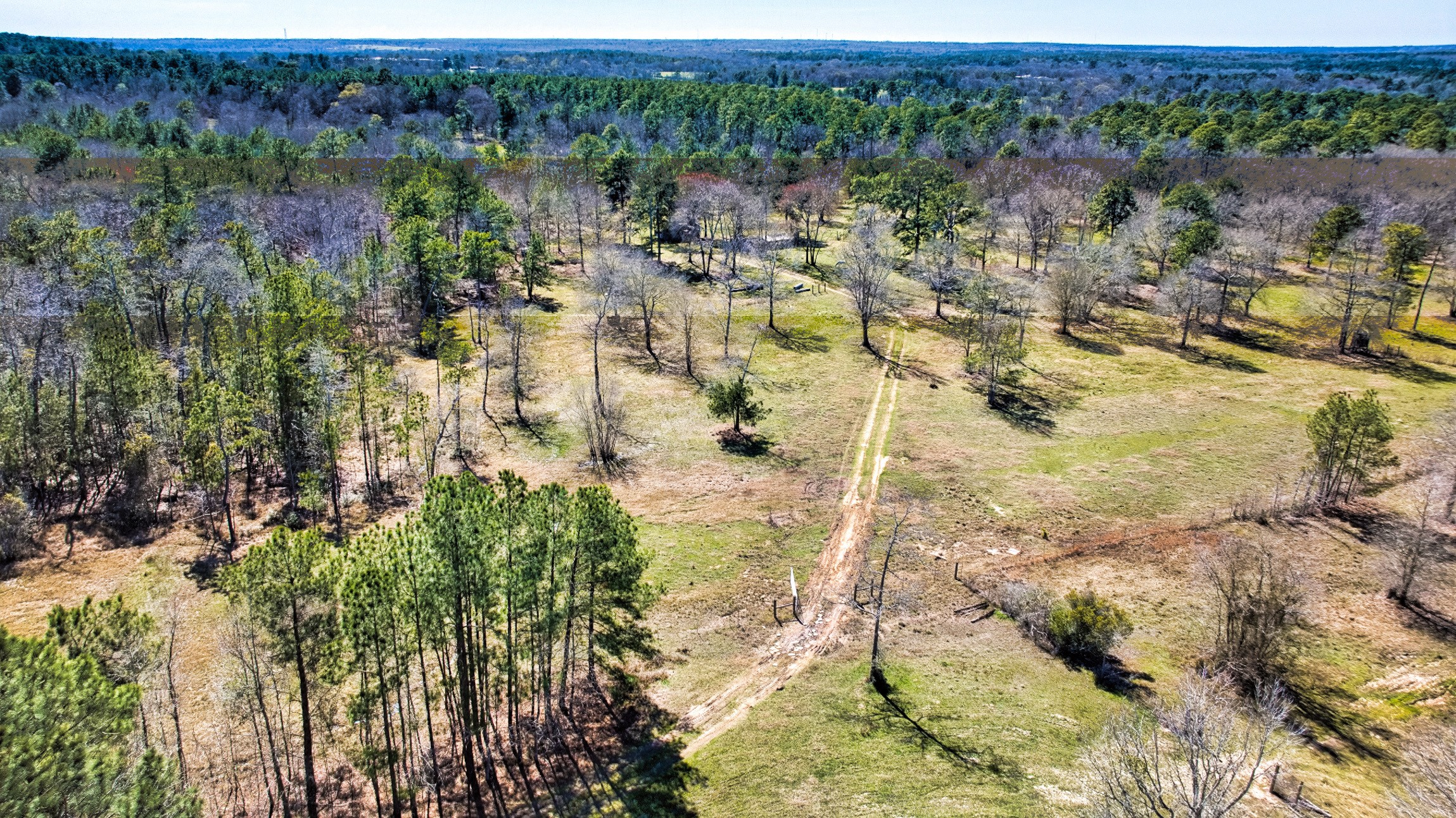 10994 Bilnoski Road Willis, TX 77378 - Photo 9 of 21 a view of lake