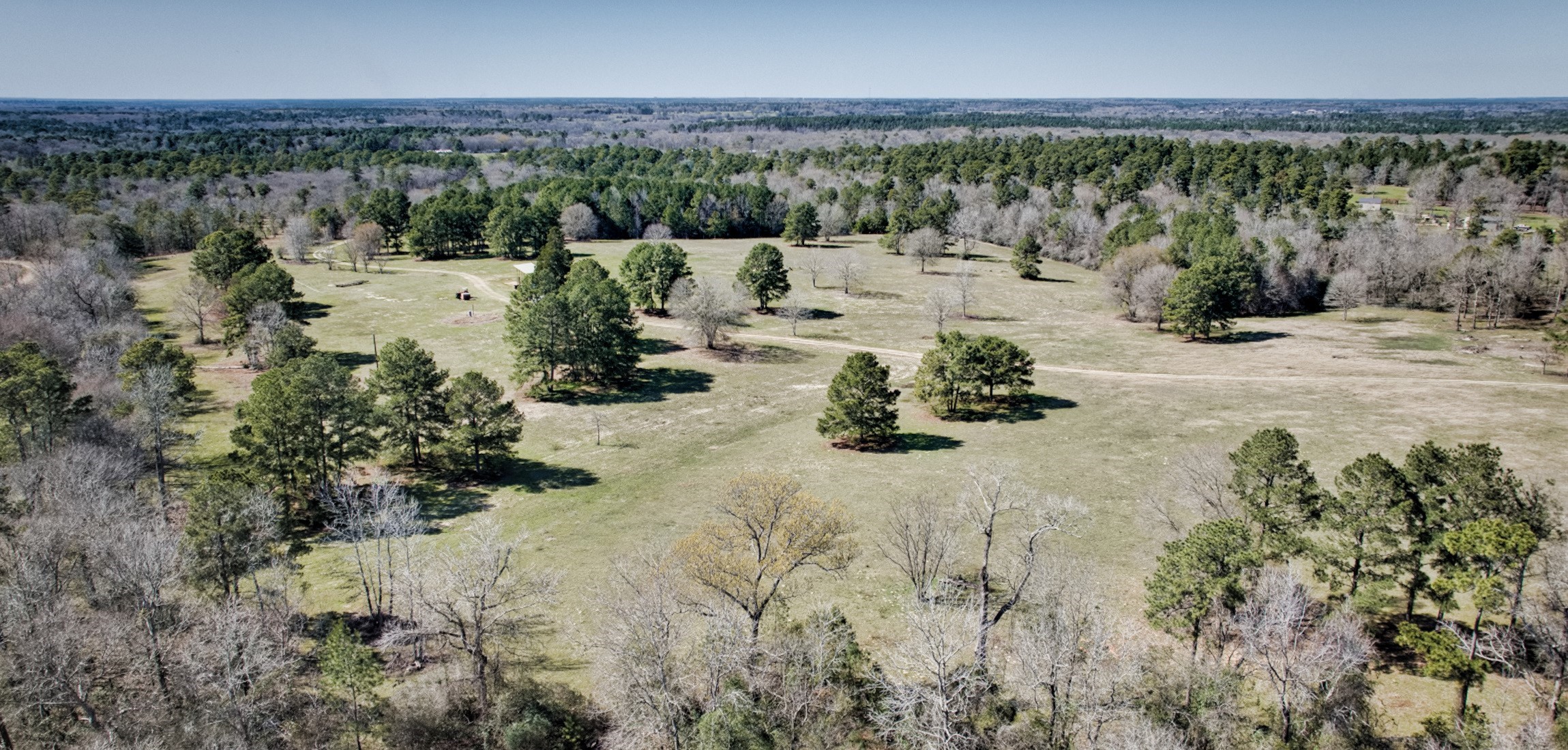 10994 Bilnoski Road Willis, TX 77378 - Photo 10 of 21 a view of a yard with mountain view