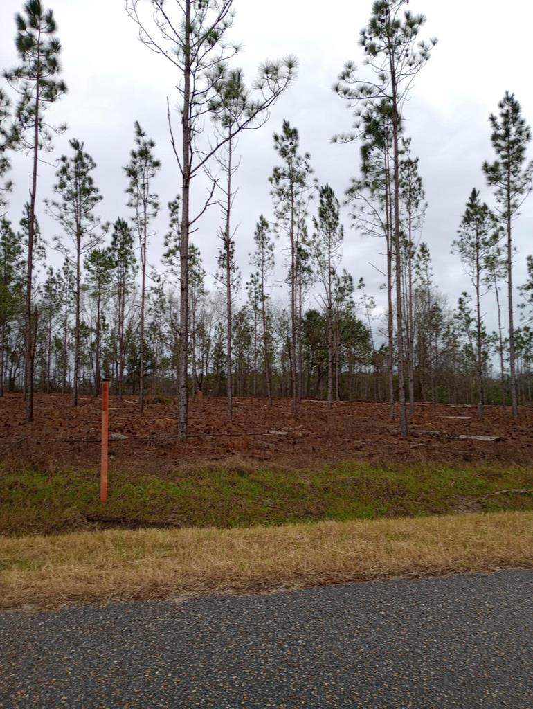 0 Northeast Liberty Road Pansey, AL 36370 - Photo 1 of 1