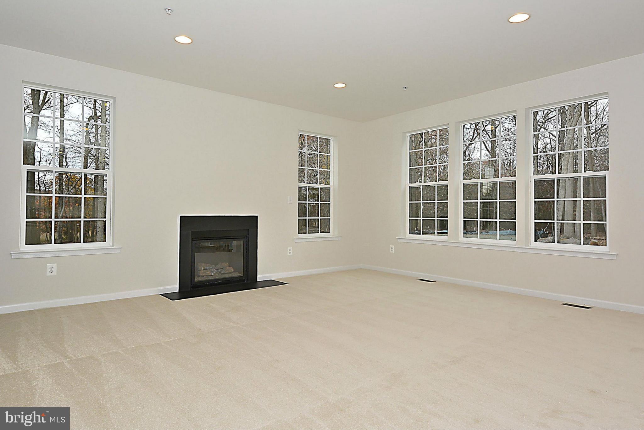 14610 Peddicord Road Mount Airy, MD 21771 - Photo 2 of 13 Family Room w/Optional FP