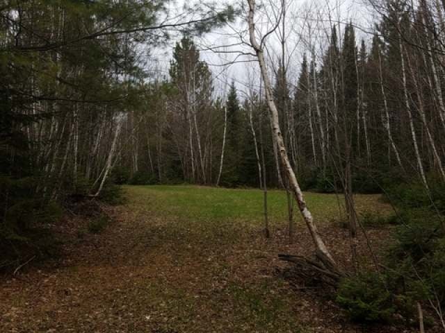 1126-1 Hunting Road Three Lakes, WI 54562 - Photo 7 of 16 Gallery Image 7