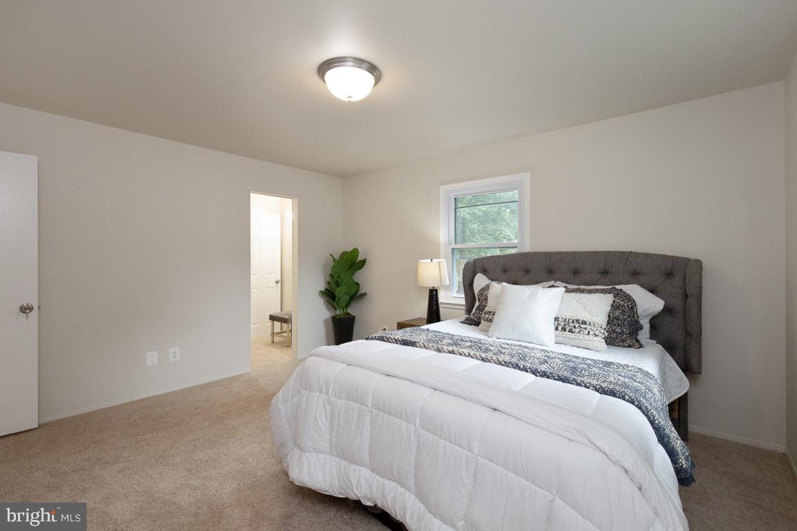 6419 Rivington Road Springfield, VA 22152 - Photo 24 of 37 Gallery Image 24