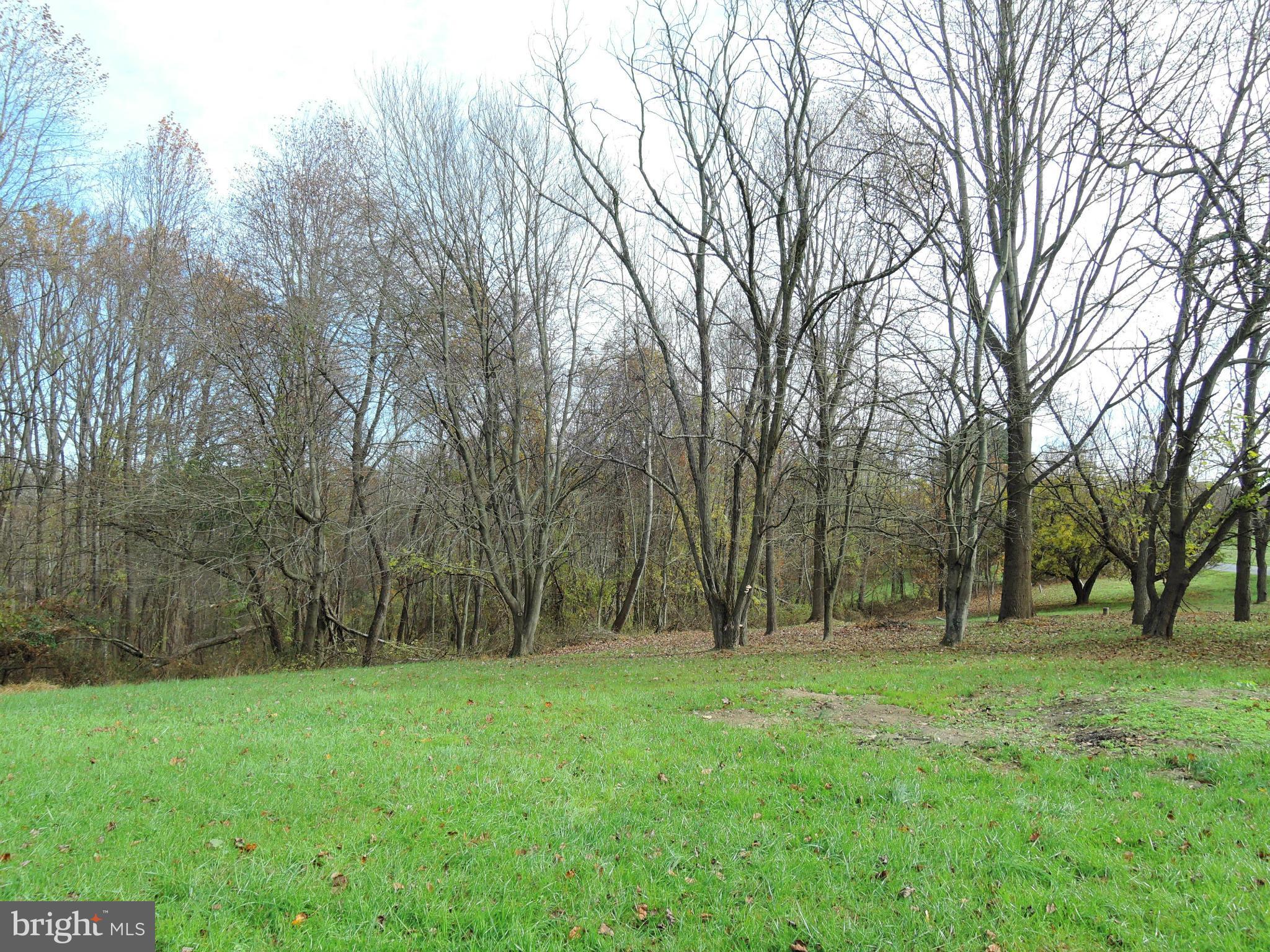 2008 Wilson Road White Hall, MD 21161 - Photo 14 of 26 a view of outdoor space with trees all around