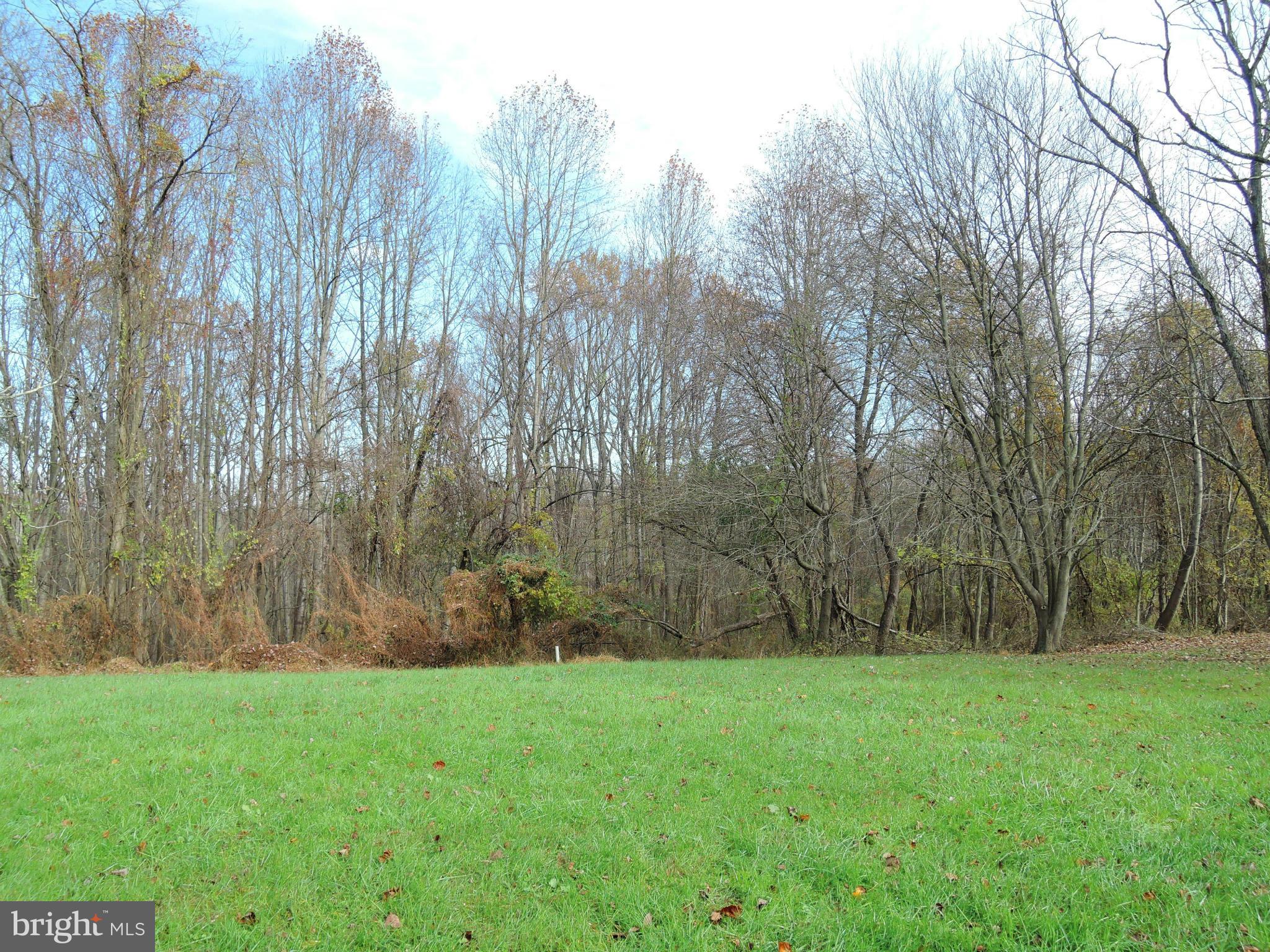 2008 Wilson Road White Hall, MD 21161 - Photo 15 of 26 a view of backyard with green space