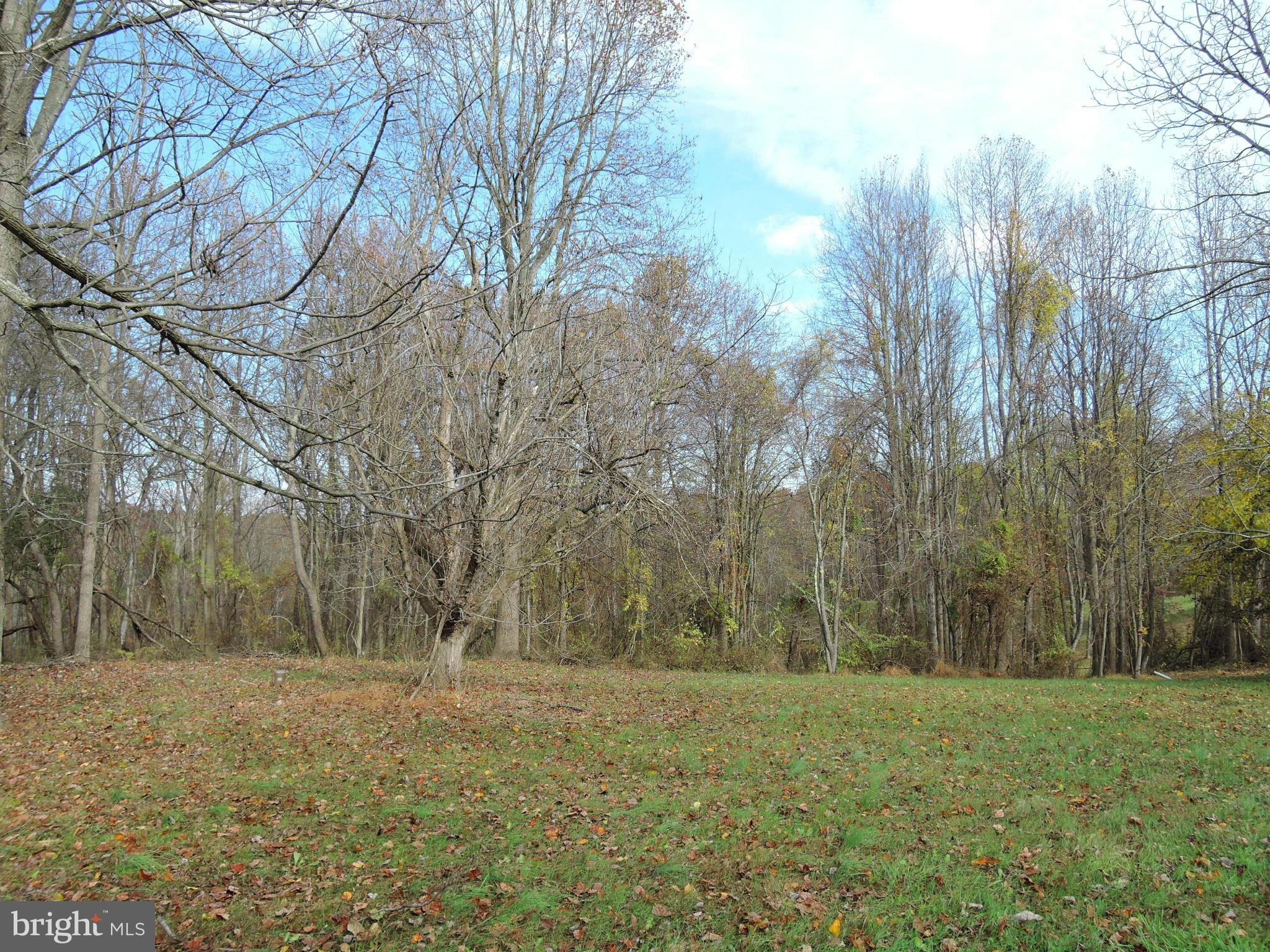 2008 Wilson Road White Hall, MD 21161 - Photo 18 of 26 a view of outdoor space and yard