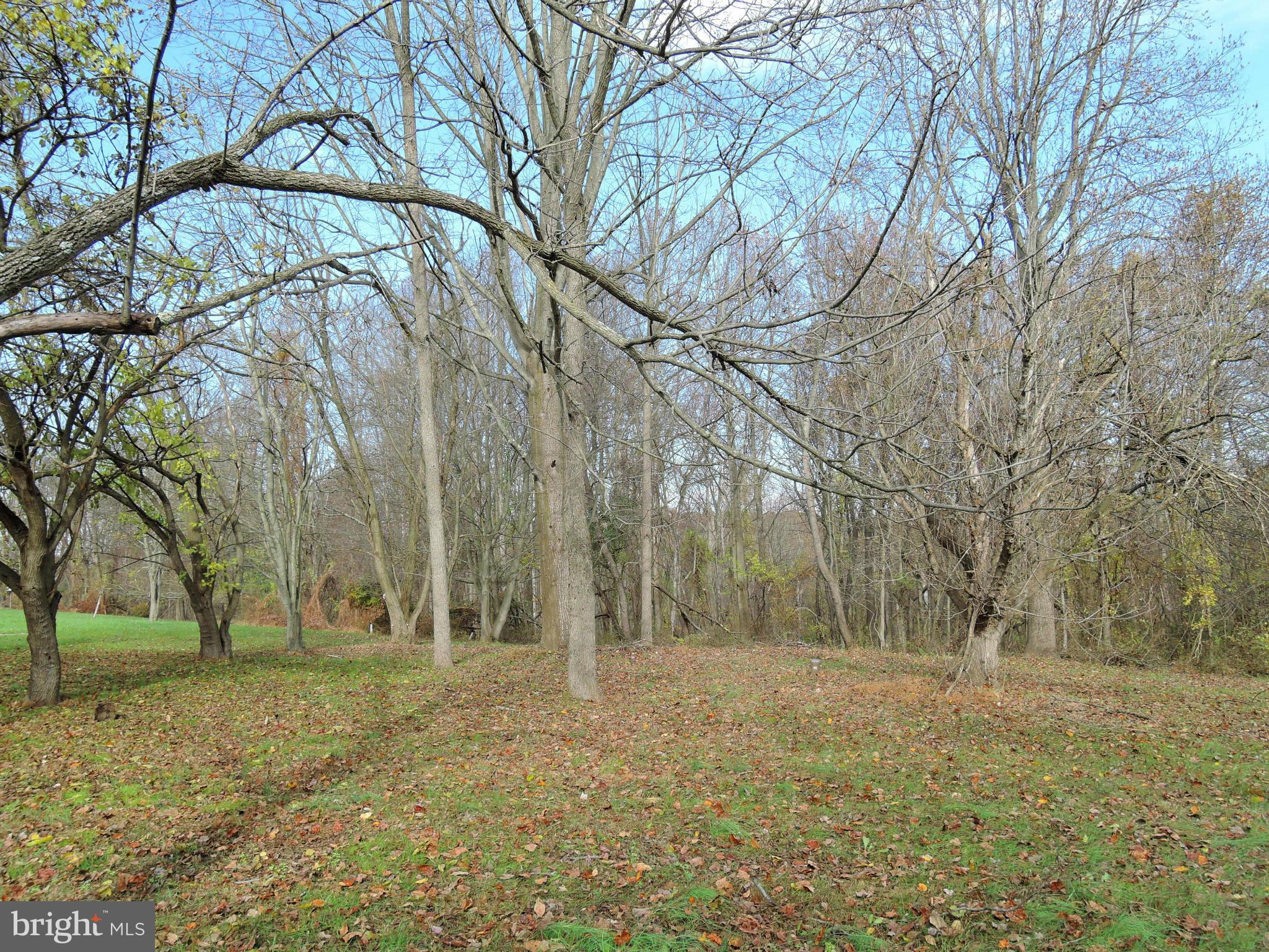 2008 Wilson Road White Hall, MD 21161 - Photo 19 of 26 a backyard of house with trees