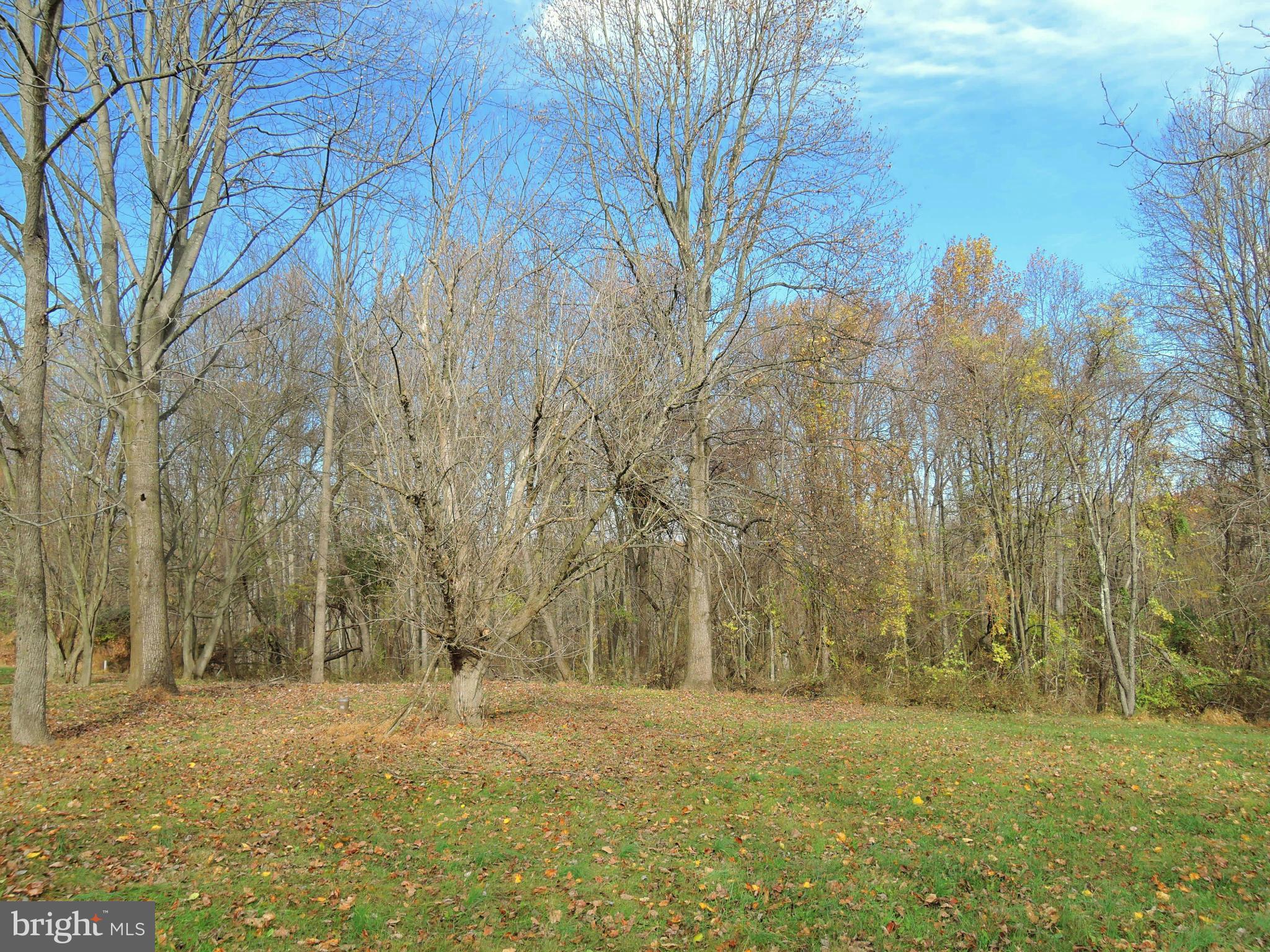 2008 Wilson Road White Hall, MD 21161 - Photo 20 of 26 a backyard of a house with lots of green space