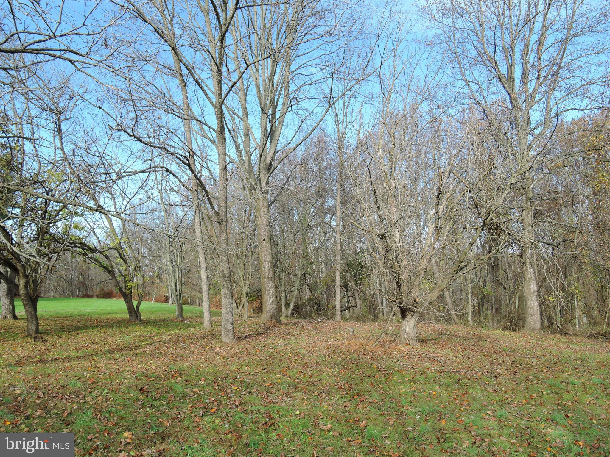 2008 Wilson Road White Hall, MD 21161 - Photo 21 of 26 a view of a yard with a tree