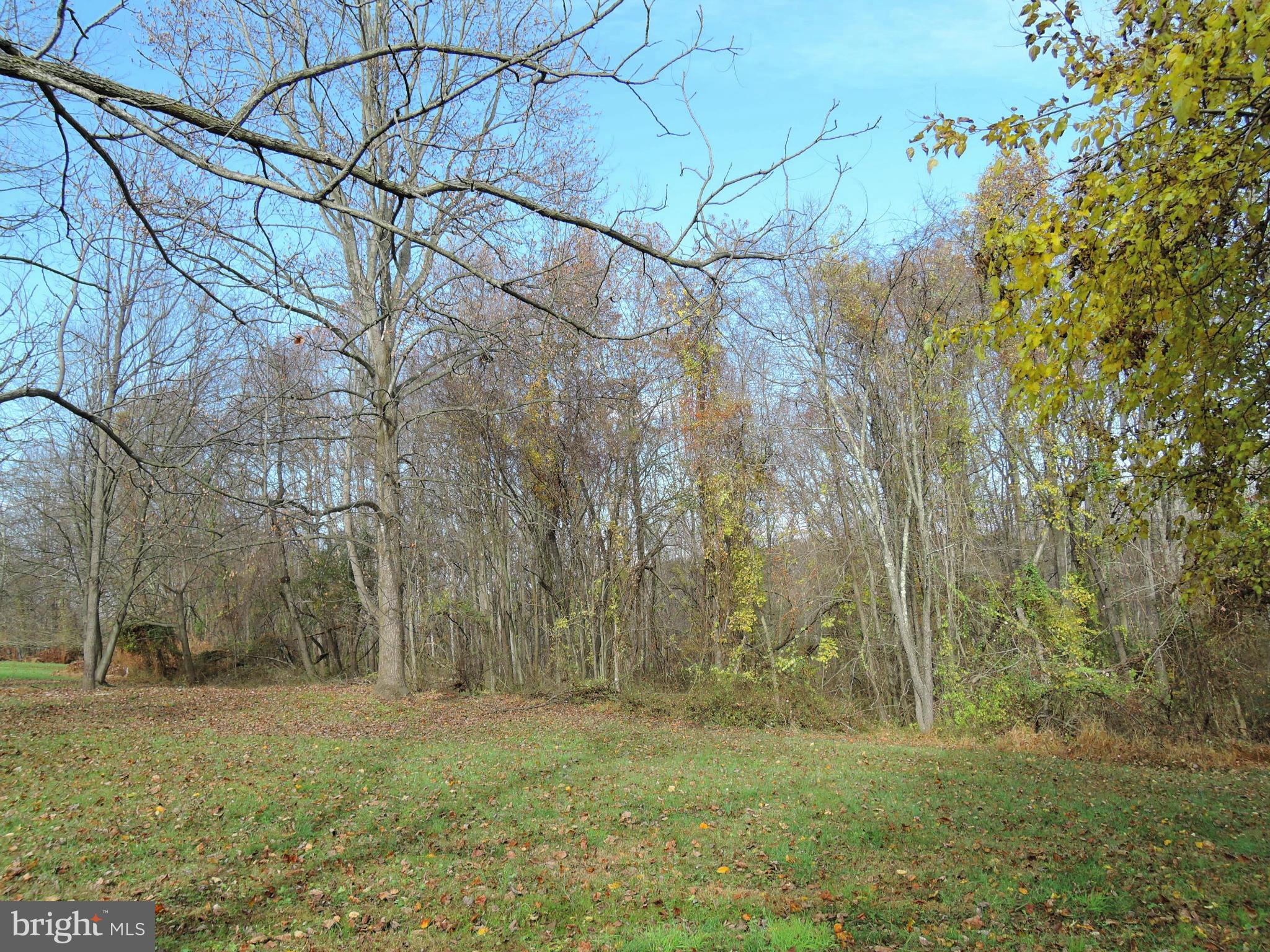 2008 Wilson Road White Hall, MD 21161 - Photo 23 of 26 a view of a yard with a tree