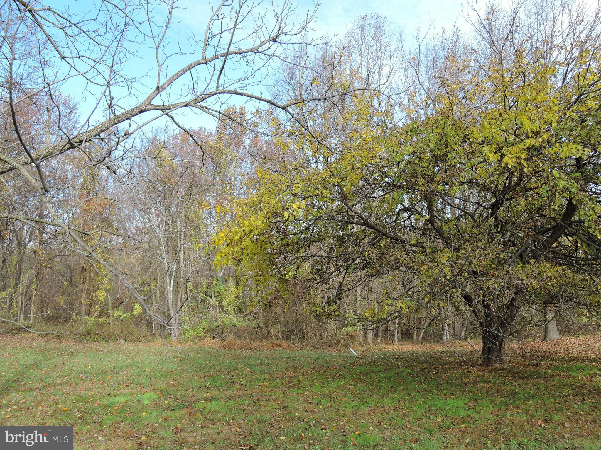 2008 Wilson Road White Hall, MD 21161 - Photo 25 of 26 a view of a yard with a tree