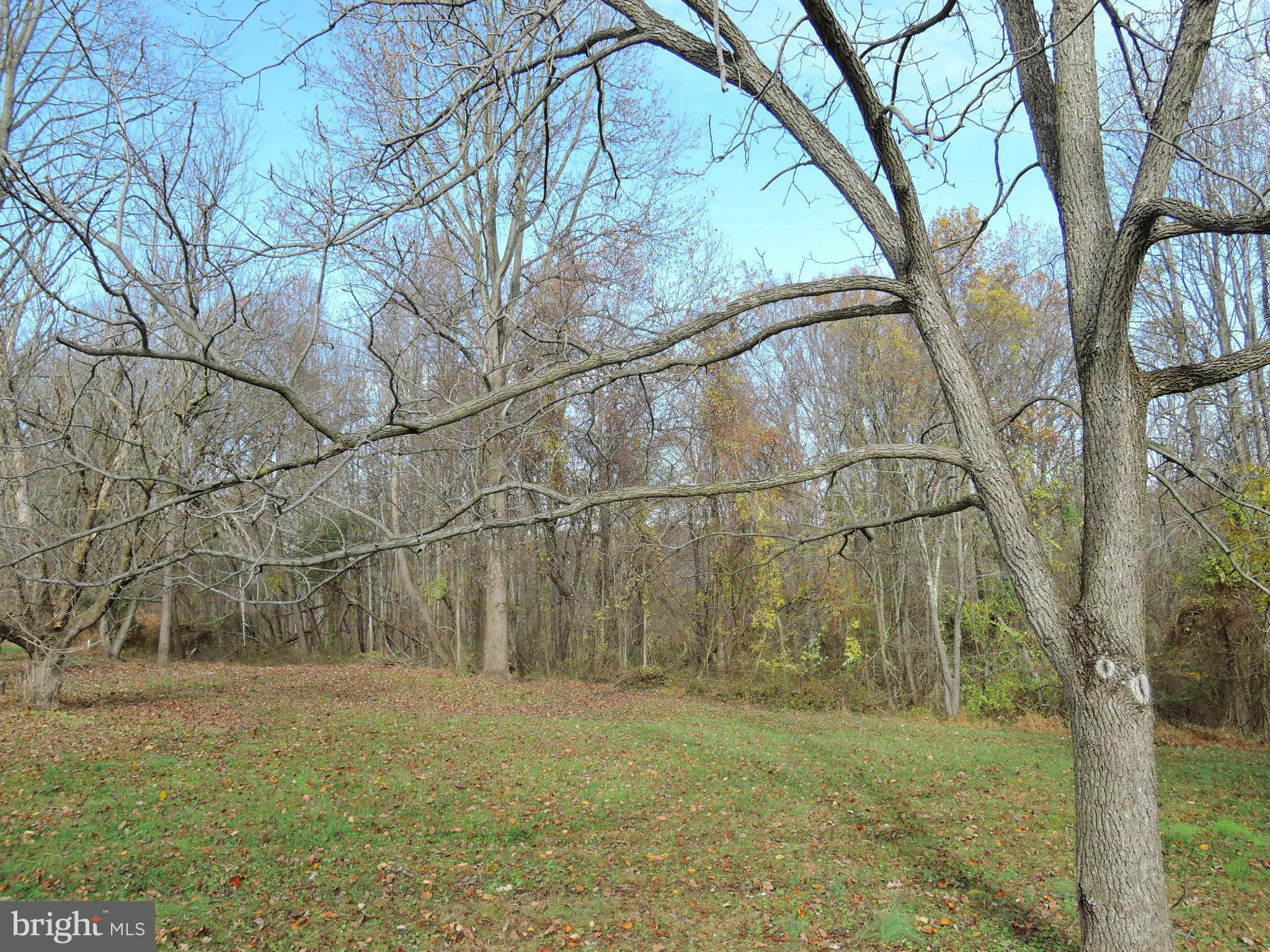 2008 Wilson Road White Hall, MD 21161 - Photo 26 of 26 a backyard of a house with lots of green space
