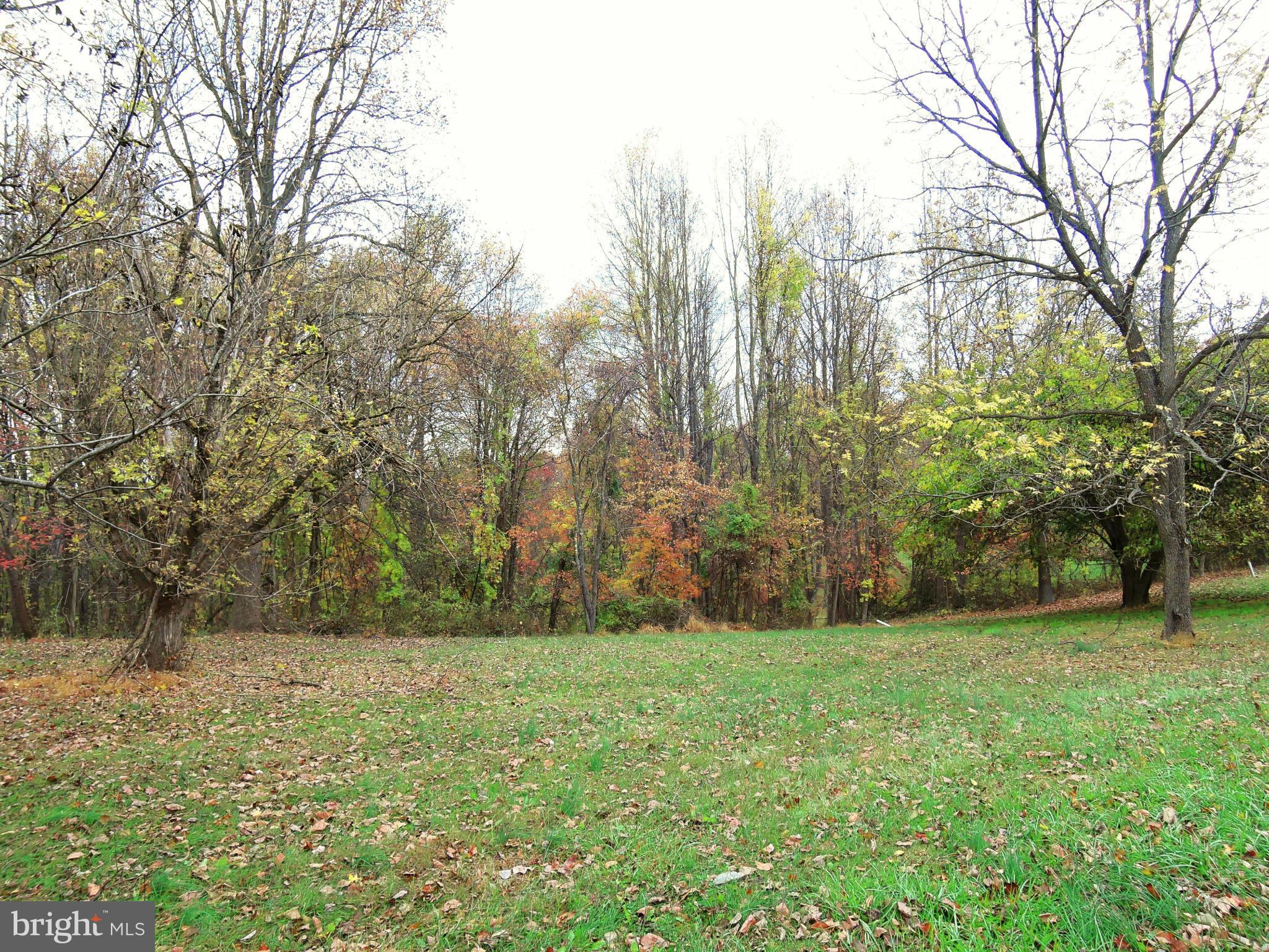 2008 Wilson Road White Hall, MD 21161 - Photo 6 of 26 a view of a field with trees in the background