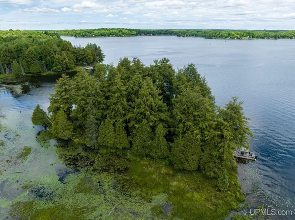 $89,000 | Off Off Boy Scout Island Road, Watersmeet, MI 49969