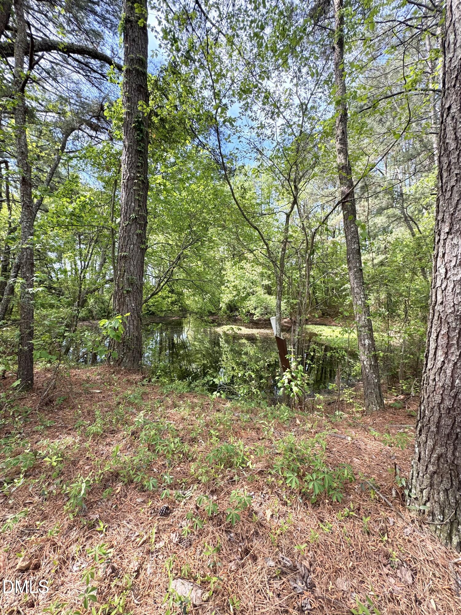 640 Tart Town Road Dunn, NC 28334 - Photo 70 of 71 a view of a forest with trees