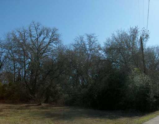 11 Post Oak Rim Bastrop, TX 78602 - Photo 1 of 1 a view of a lake with a yard