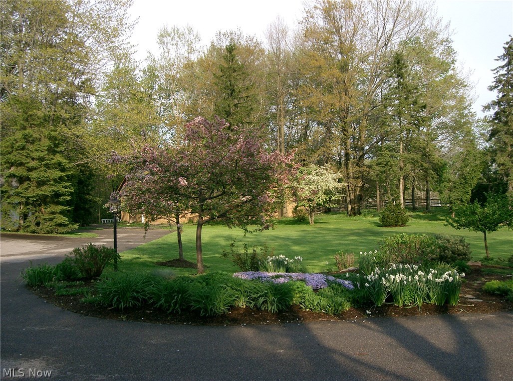 13753 County Line Road Novelty, OH 44072 - Photo 4 of 31 Enchanting in bloom