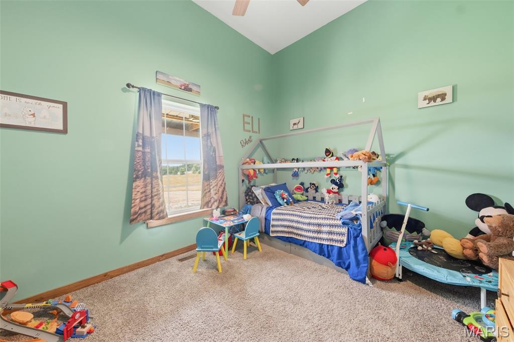 29601 Bueltmann Road Jonesburg, MO 63351 - Photo 37 of 73