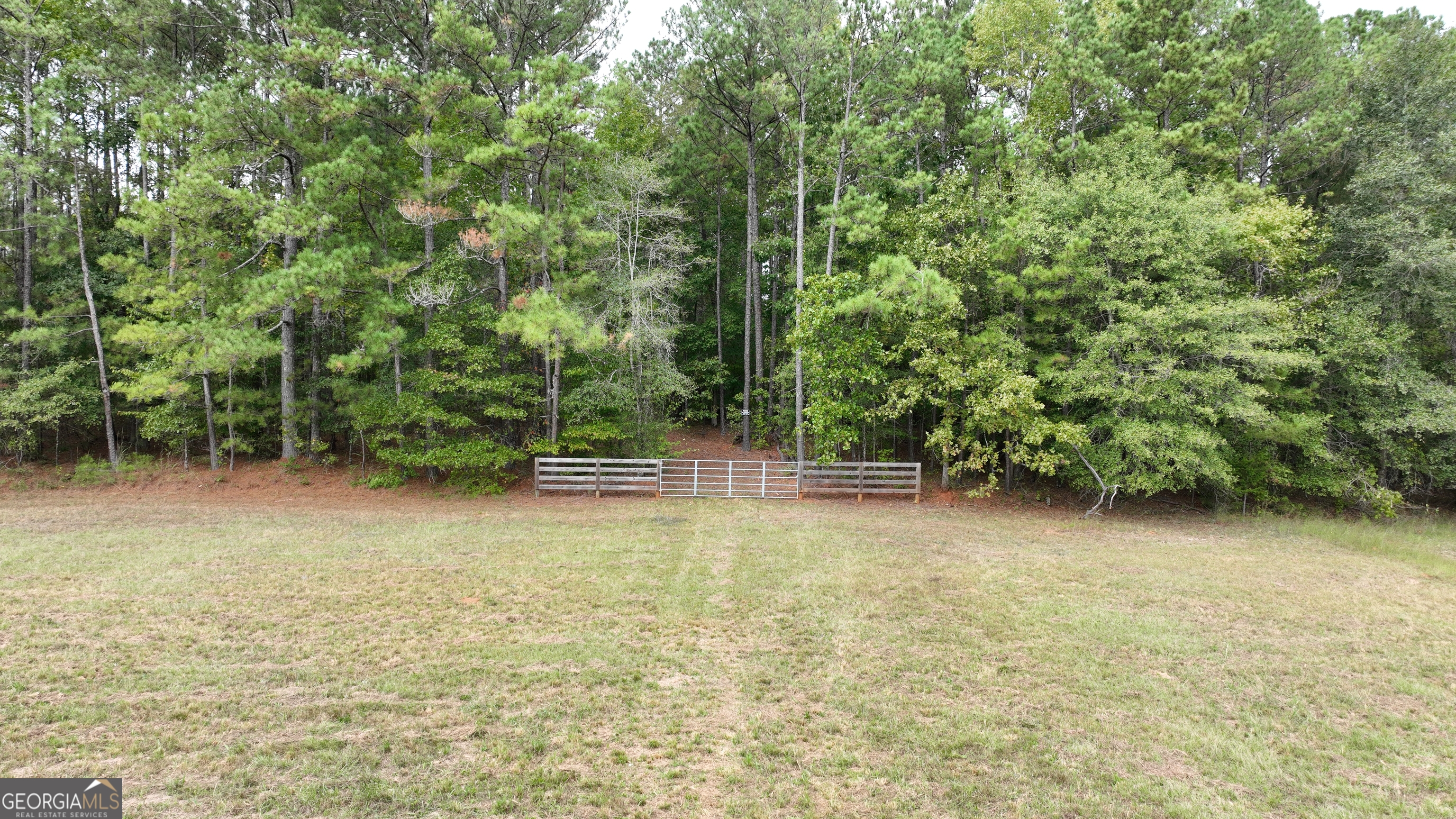 3840 Kings Road Meansville, GA 30256 - Photo 11 of 13 a view of a backyard with trees