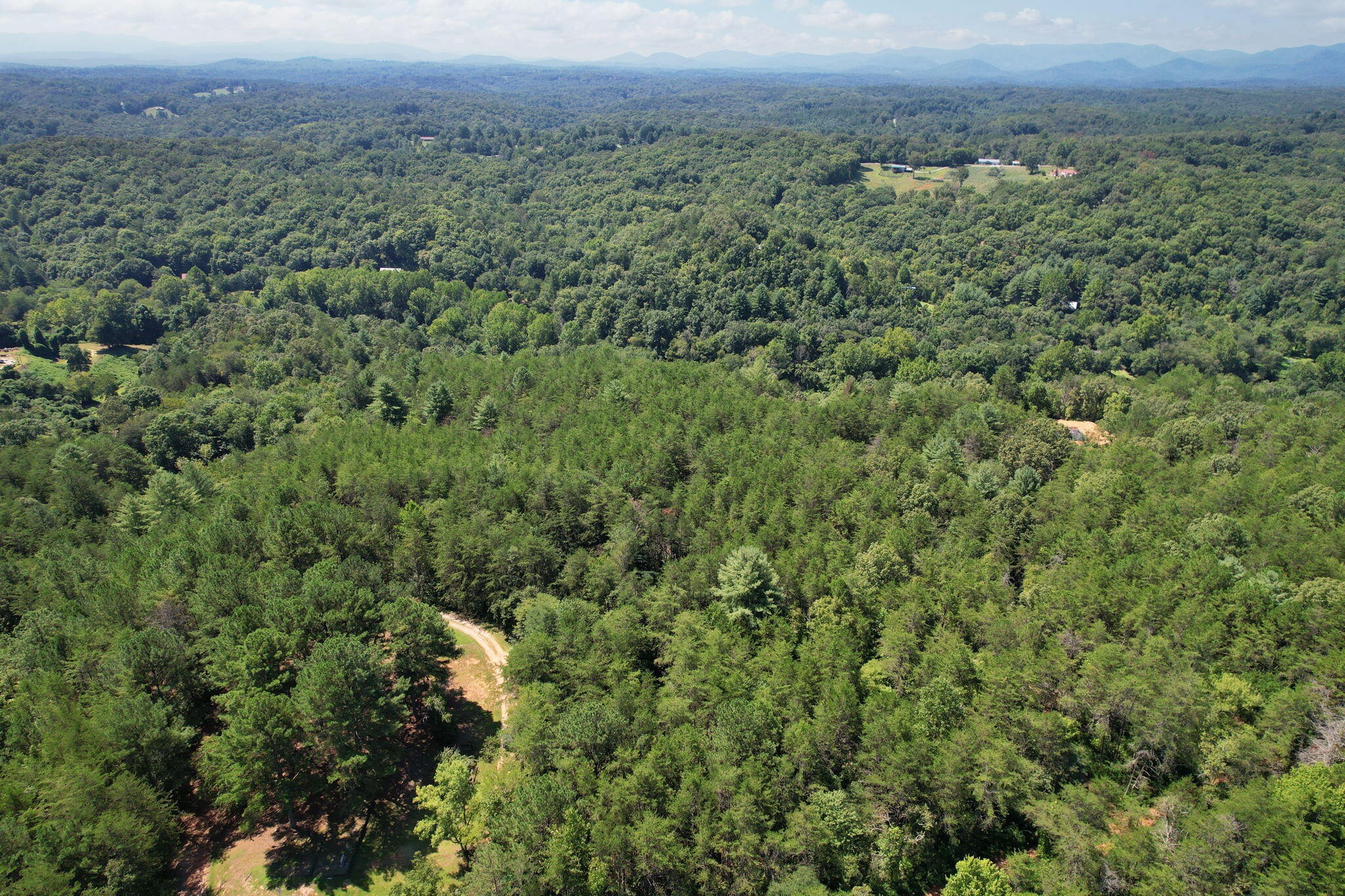 0 Staffordtown Road Copperhill, TN 37317 - Photo 6 of 12 an aerial view of forest
