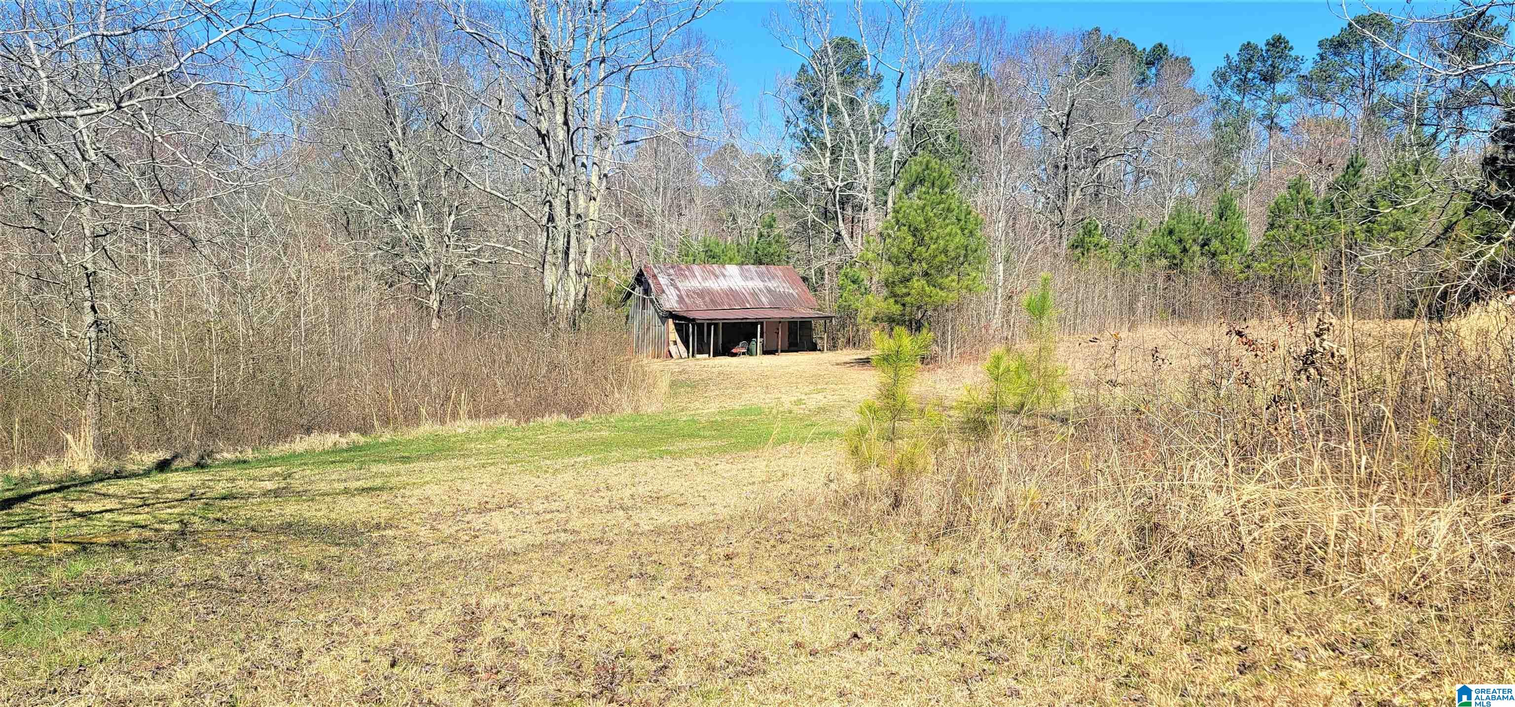 14511 Highway 46 Heflin, AL 36264 - Photo 13 of 36