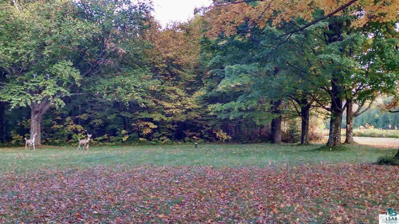 63162 Maple Grove Road Marengo, WI 54855 - Photo 3 of 5