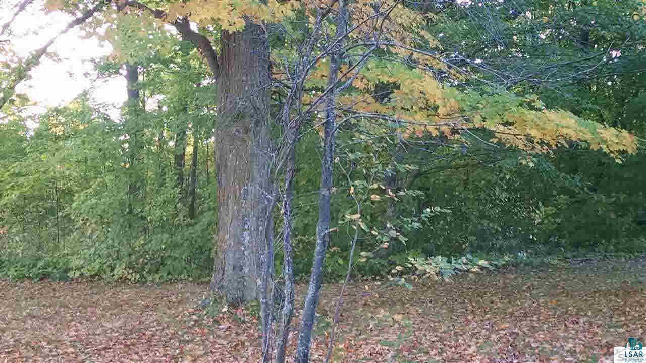 63162 Maple Grove Road Marengo, WI 54855 - Photo 5 of 5