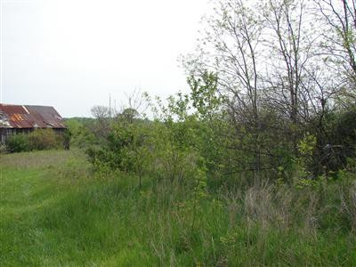 2595 High Bridge Road Wilmore, KY 40390 - Photo 4 of 39 Photo 4