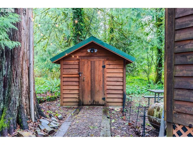 a picture of a yard with plants and a bench