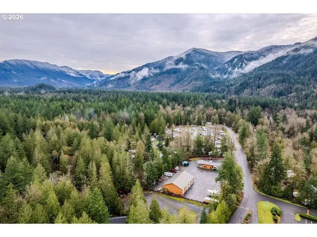 a swimming pool with a bench and trees in the background