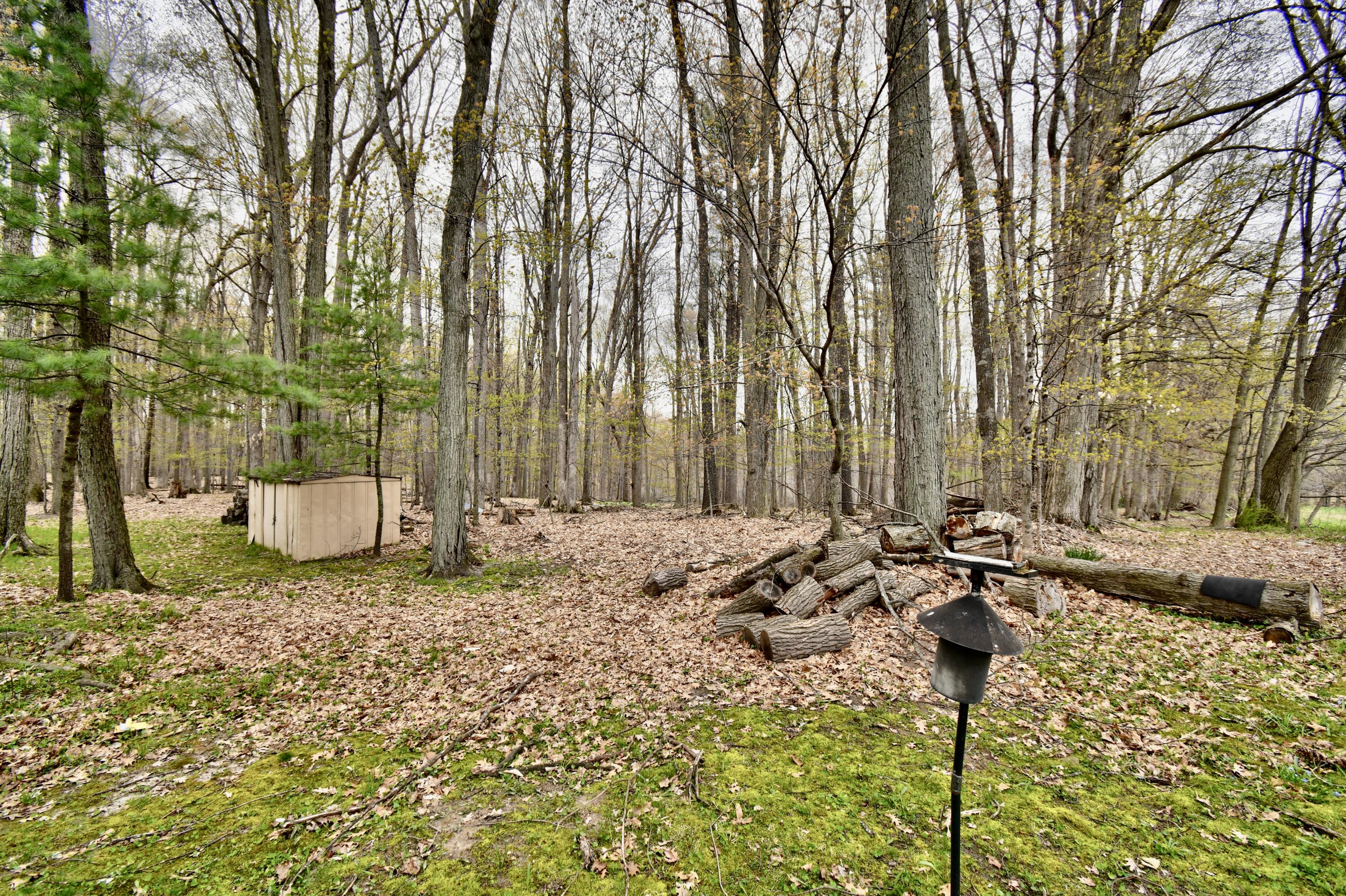 8369 East Willard Road Crystal, MI 48818 - Photo 58 of 101 DSC_6031_2_3
