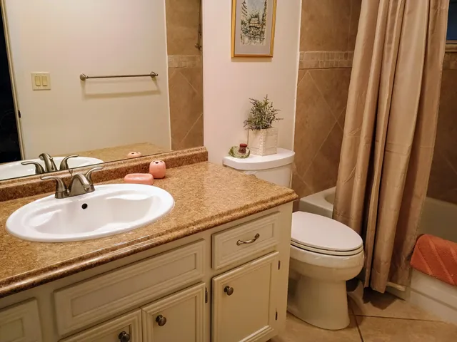 a bathroom with a sink and a toilet