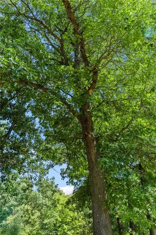 $259,000 | 3381 Northeast Gospel Lane, Hamilton, MO 64644