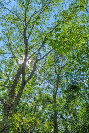 $250,000 | 3381 Northeast Gospel Lane, Hamilton, MO 64644