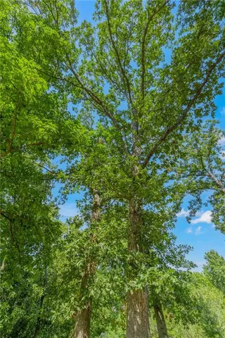 $259,000 | 3381 Northeast Gospel Lane, Hamilton, MO 64644