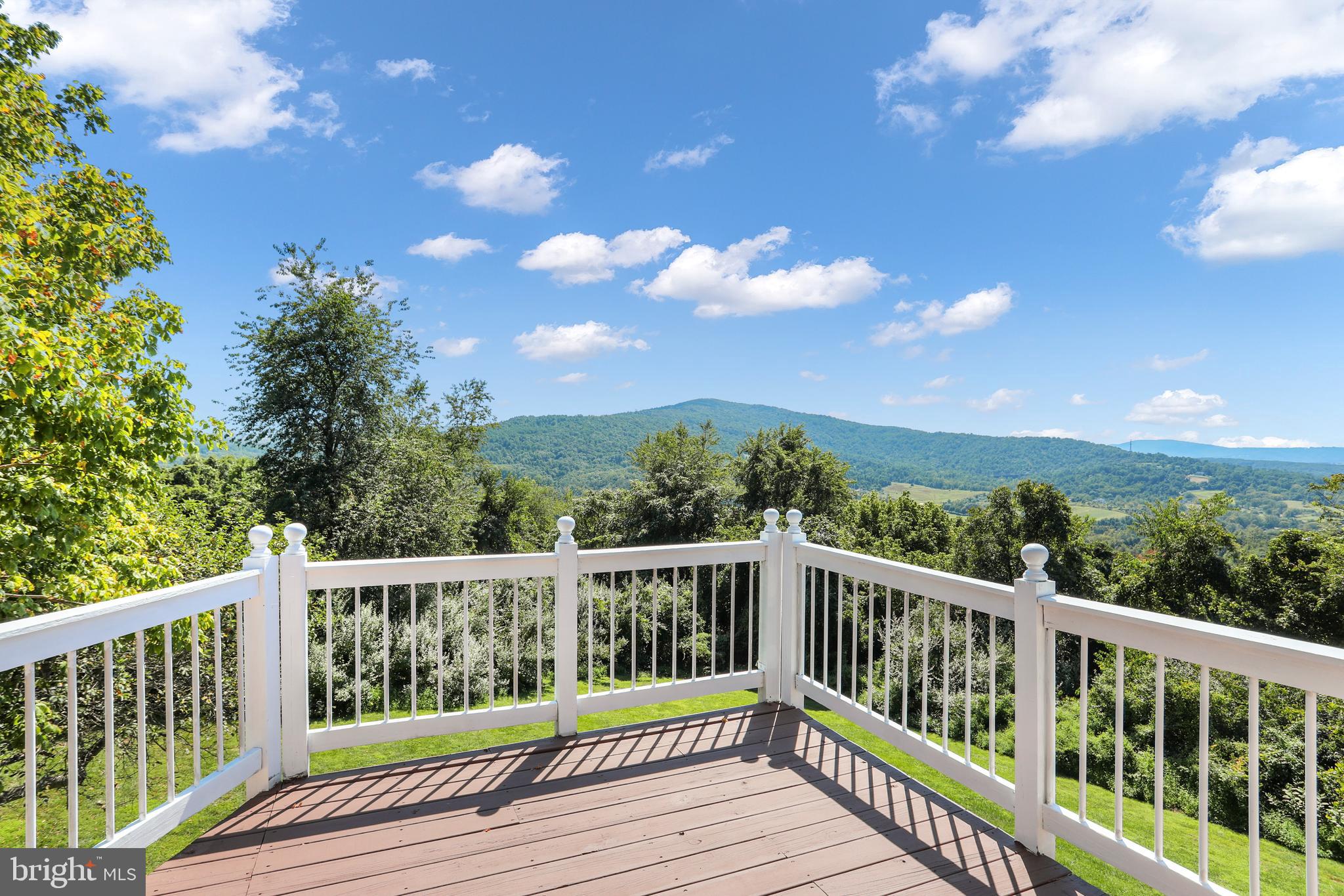 269 Wealthy Road Linden, VA 22642 - Photo 3 of 58