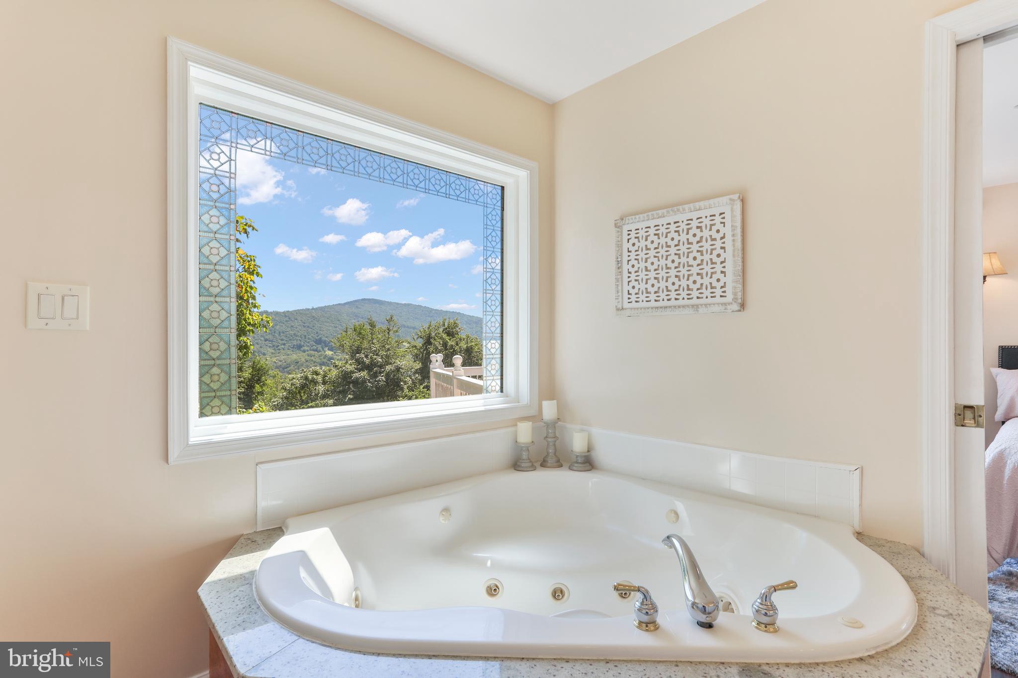 269 Wealthy Road Linden, VA 22642 - Photo 31 of 58