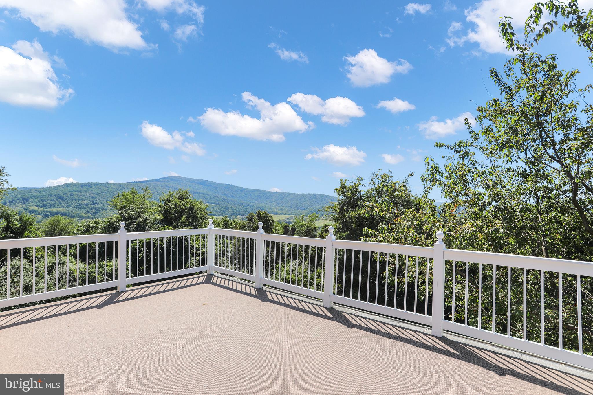 269 Wealthy Road Linden, VA 22642 - Photo 33 of 58