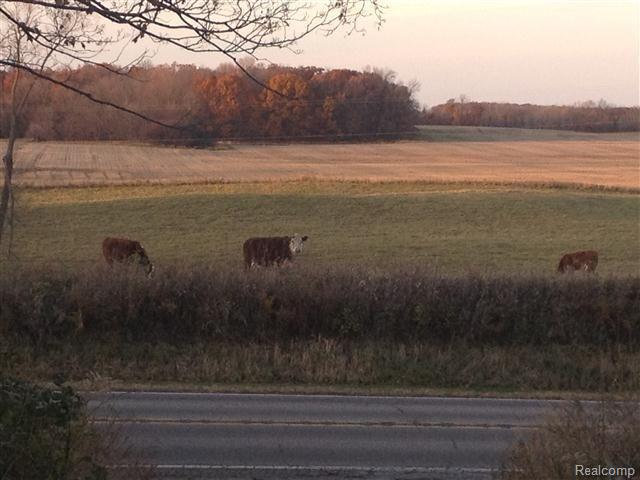 5481 Pratt Road Lapeer, MI 48446 - Photo 20 of 22 100_0064-1 Outside (3).jpg