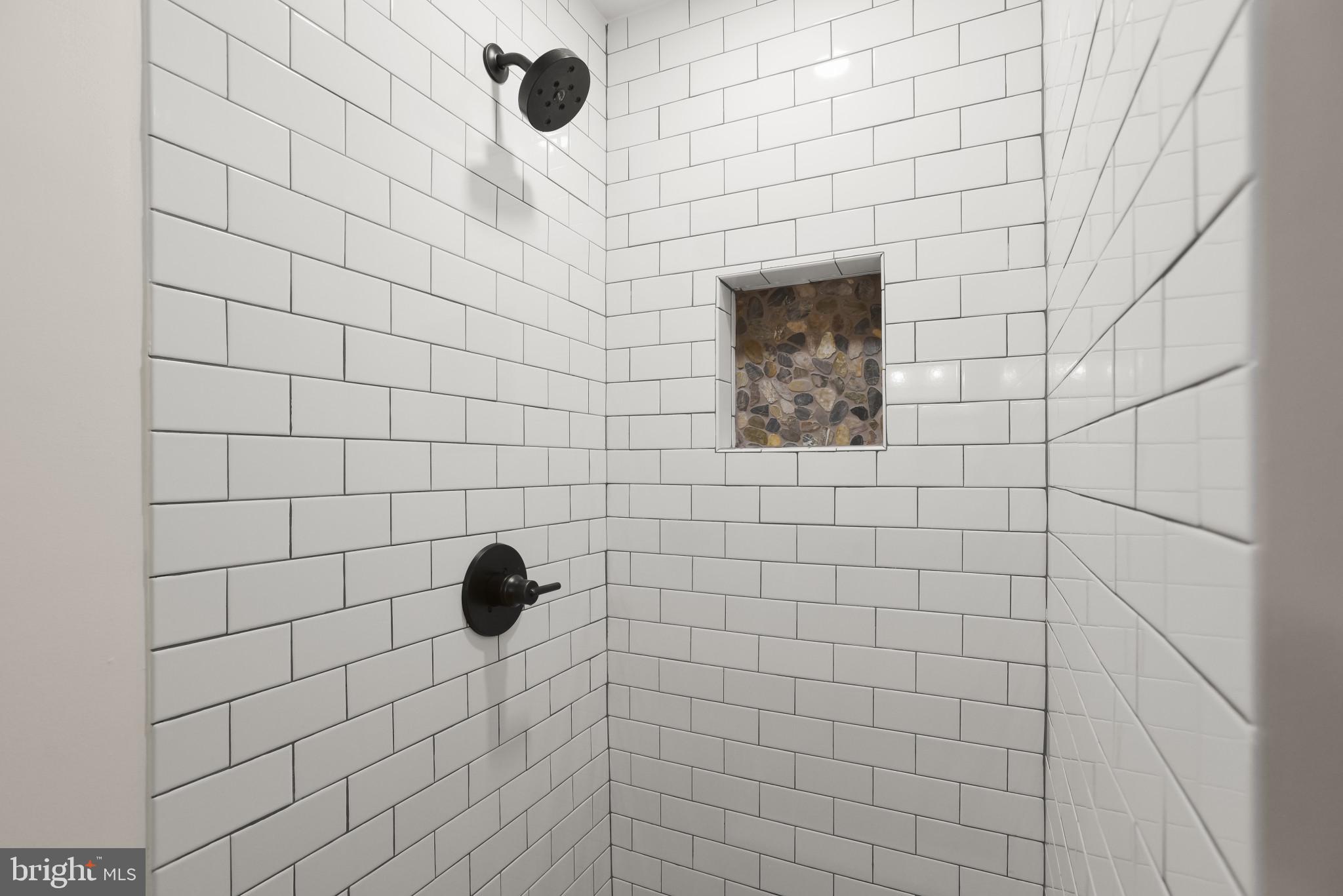 12261 Etchison Road Ellicott City, MD 21042 - Photo 26 of 69 Main level custom shower