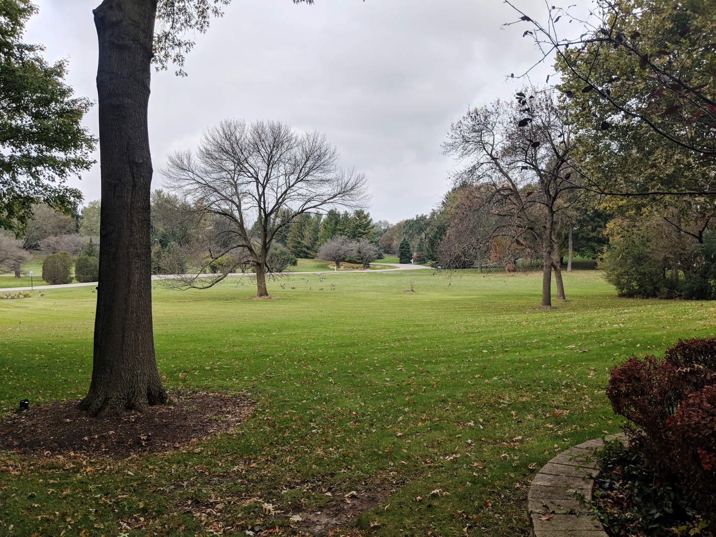 1750 Banbury Road Inverness, IL 60067 - Photo 25 of 31 a view of grassy field with tree