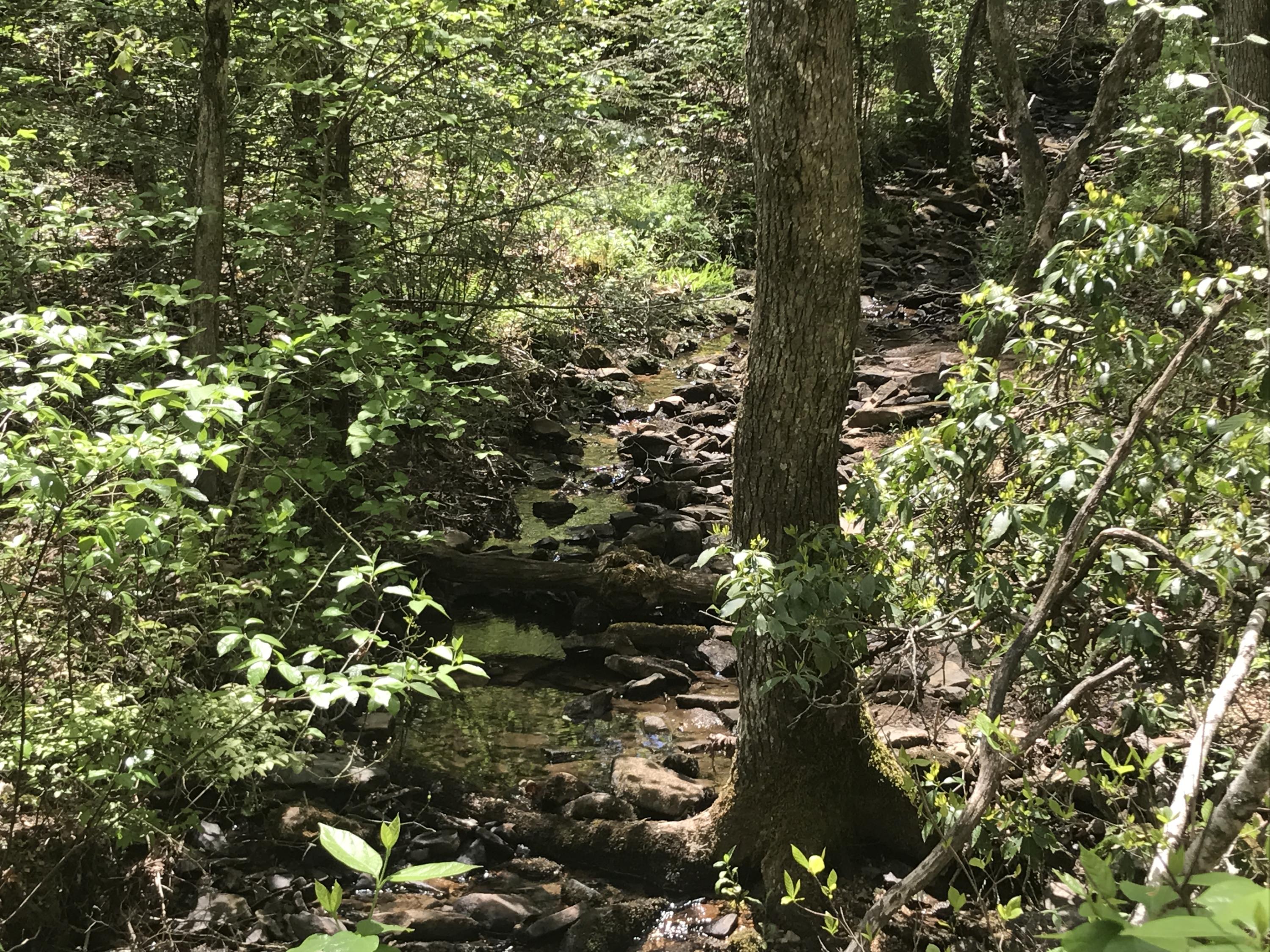 27 Henson Gap Road Dunlap, TN 37327 - Photo 11 of 47 IMG_1622