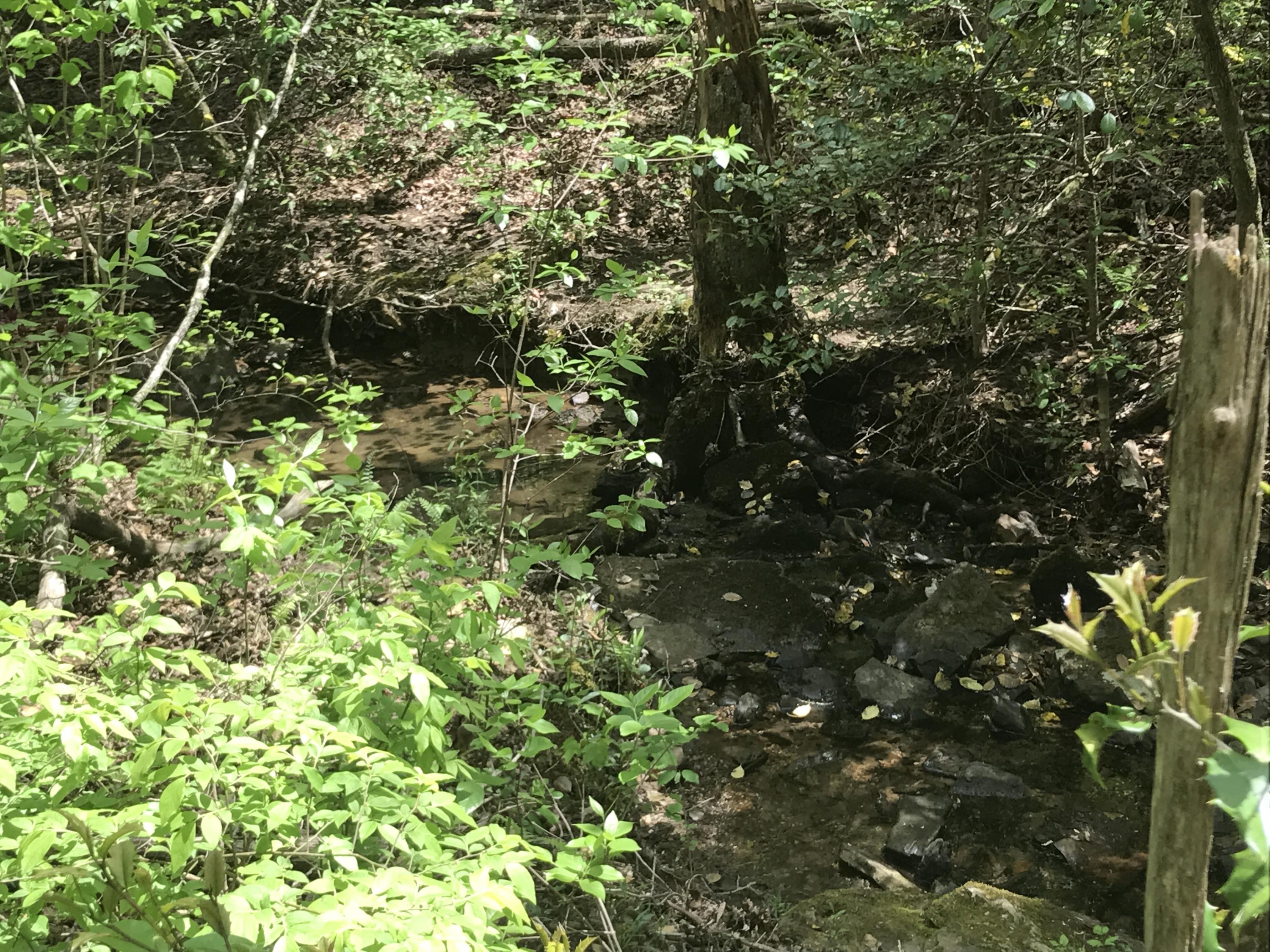 27 Henson Gap Road Dunlap, TN 37327 - Photo 12 of 47 IMG_1623