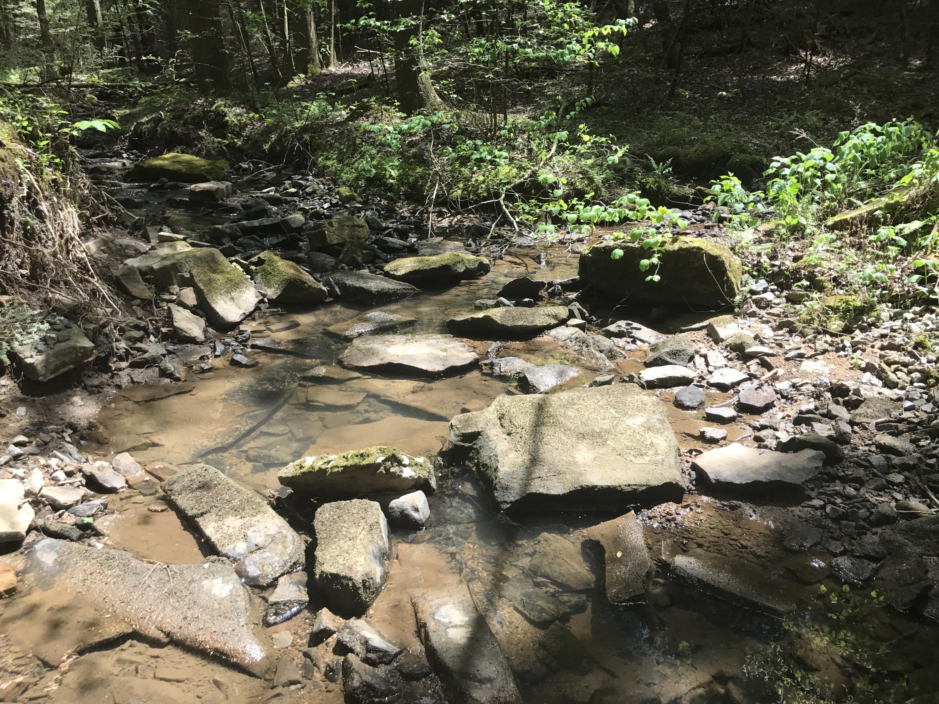 27 Henson Gap Road Dunlap, TN 37327 - Photo 20 of 47 IMG_1631