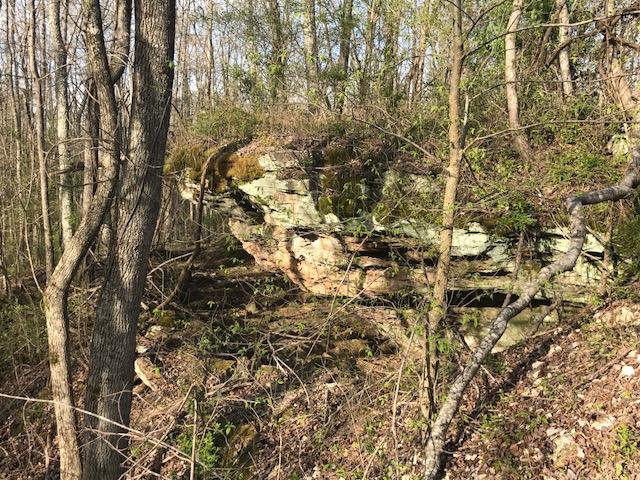 27 Henson Gap Road Dunlap, TN 37327 - Photo 2 of 47 IMG_1552