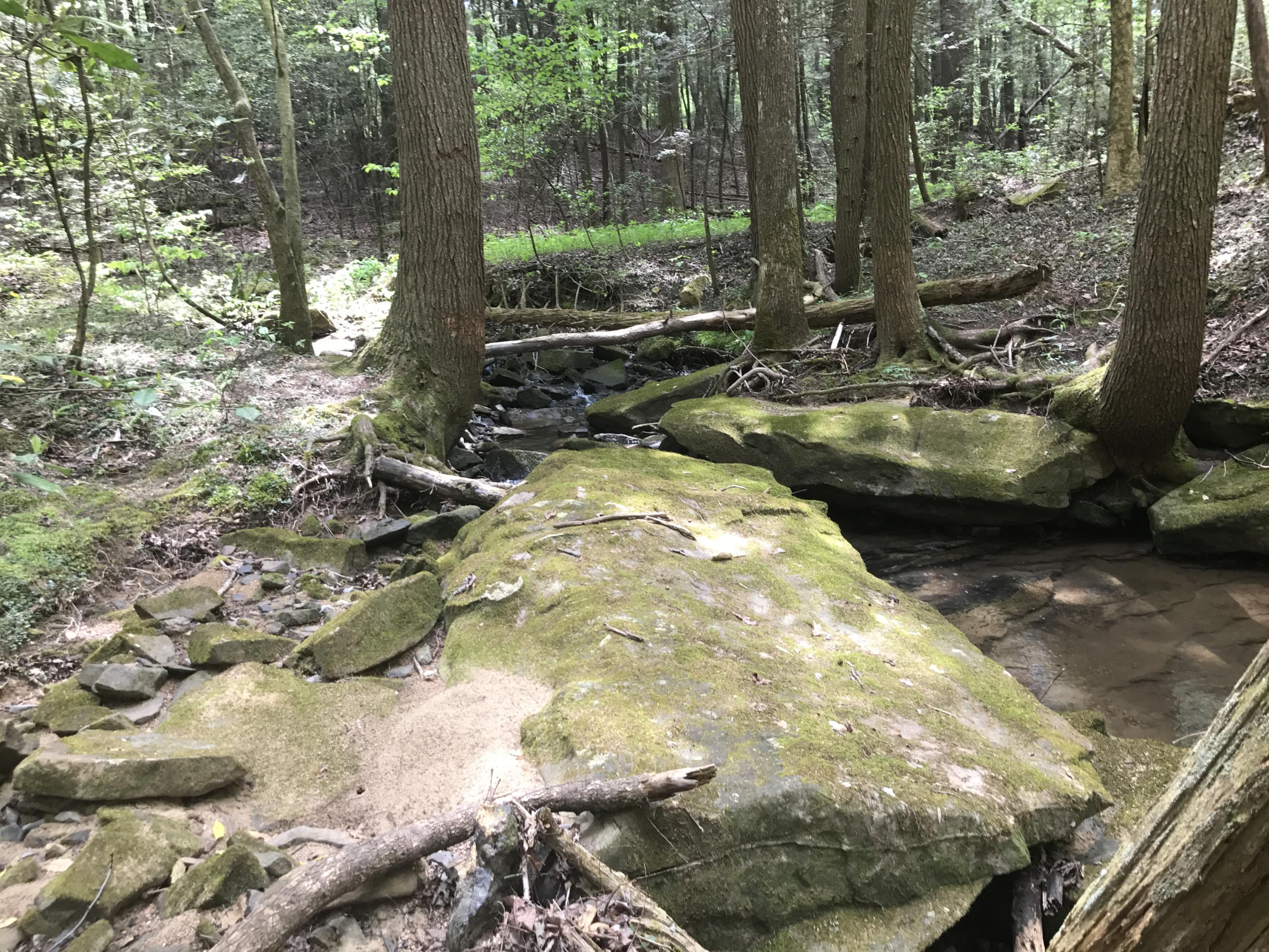 27 Henson Gap Road Dunlap, TN 37327 - Photo 22 of 47 IMG_1633