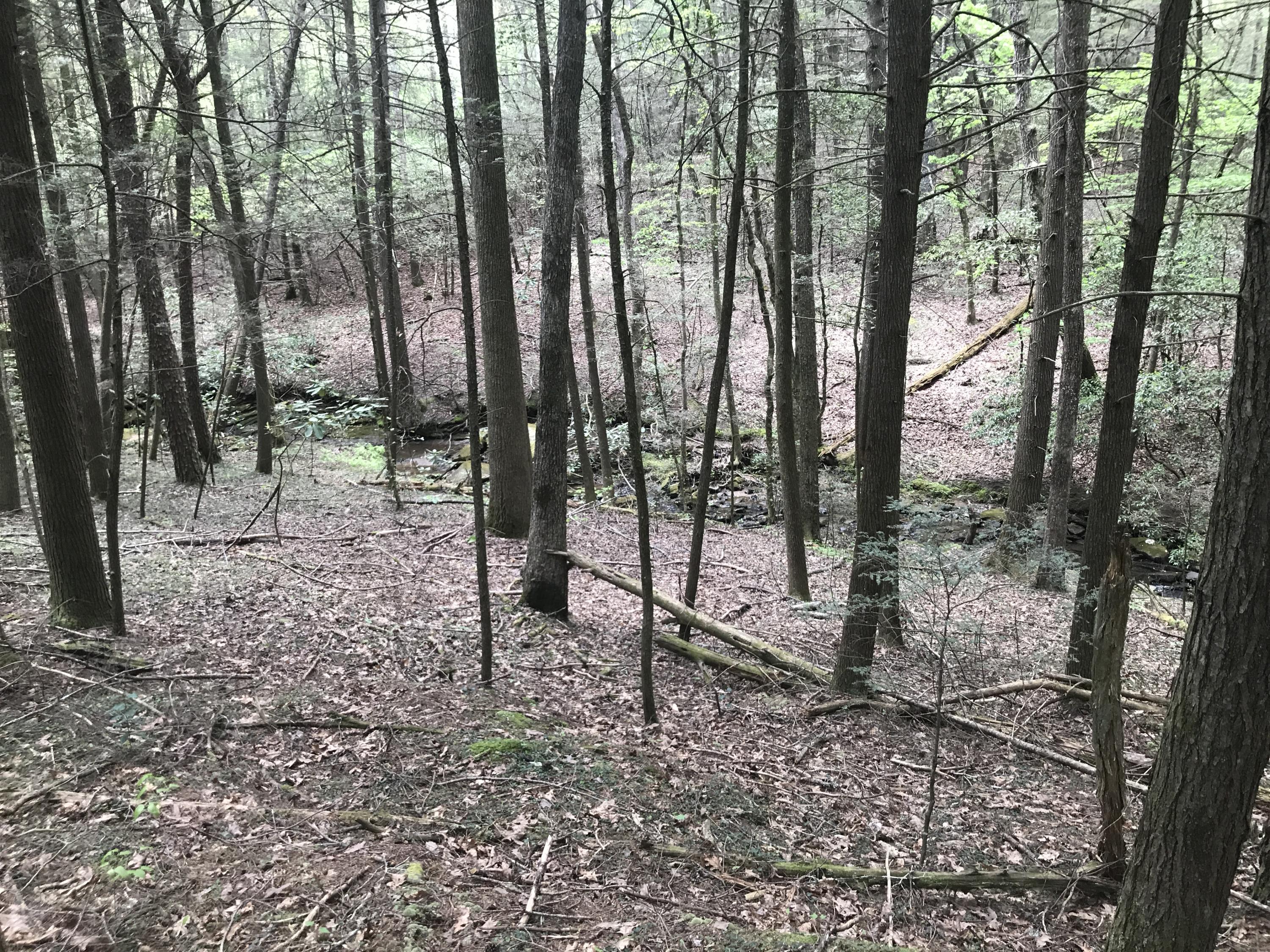 27 Henson Gap Road Dunlap, TN 37327 - Photo 26 of 47 IMG_1637