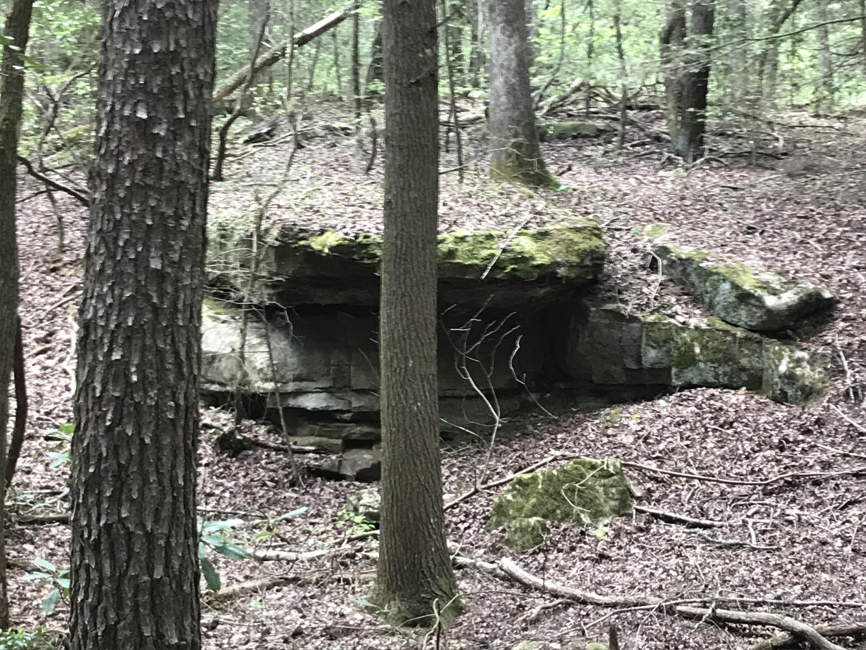 27 Henson Gap Road Dunlap, TN 37327 - Photo 28 of 47 IMG_1639