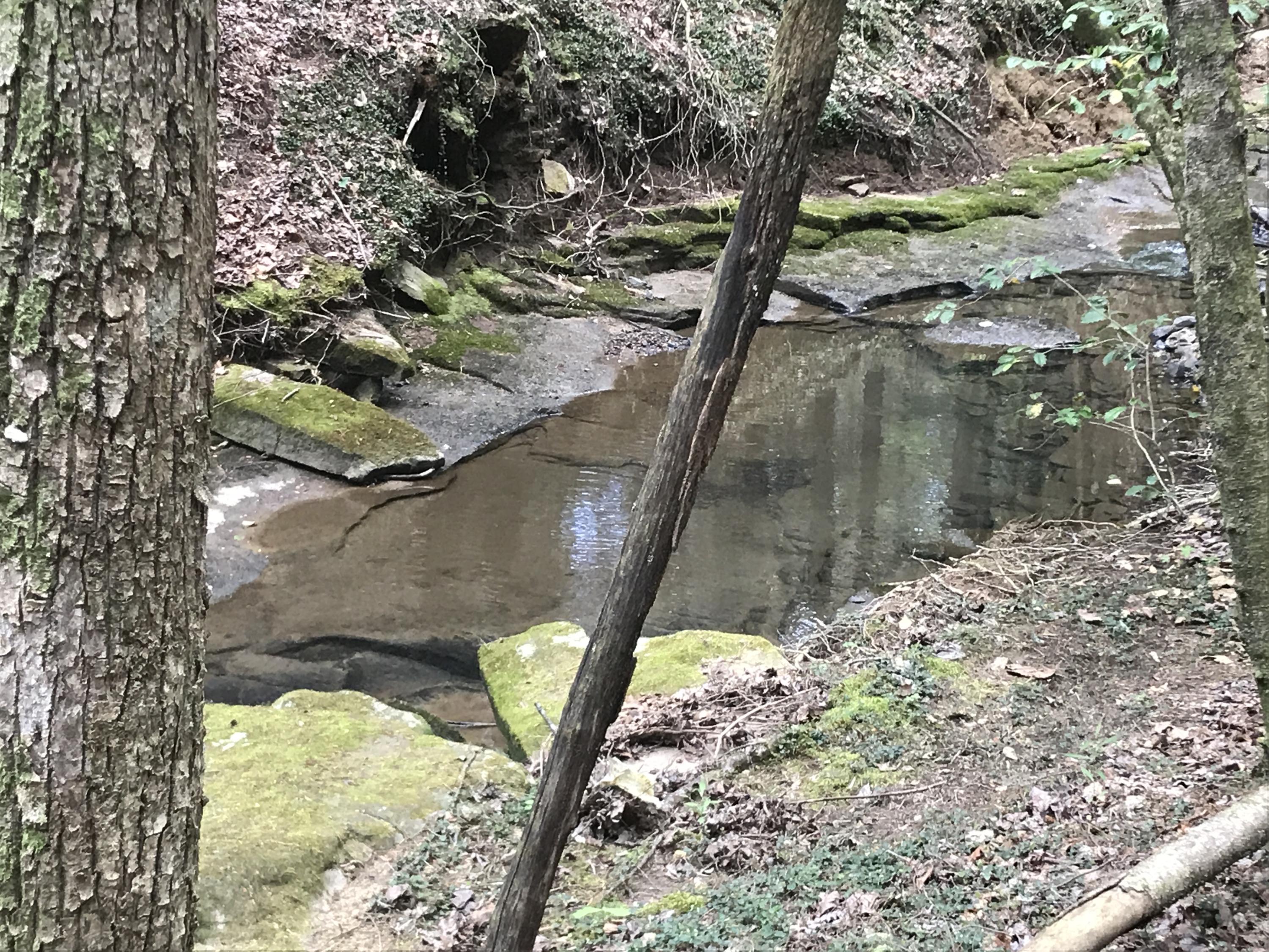 27 Henson Gap Road Dunlap, TN 37327 - Photo 29 of 47 IMG_1640