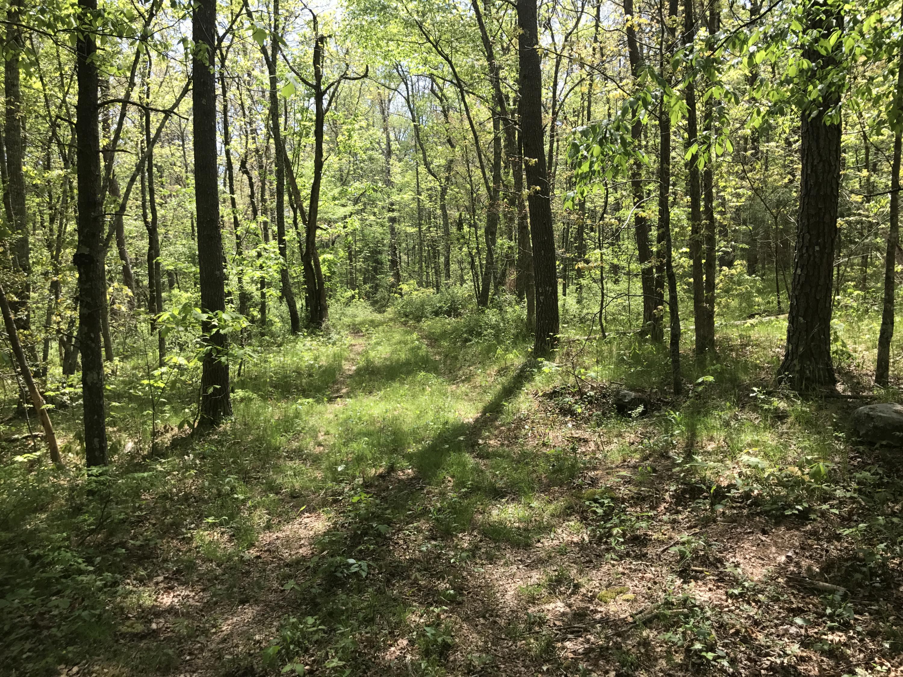 27 Henson Gap Road Dunlap, TN 37327 - Photo 3 of 47 IMG_1675
