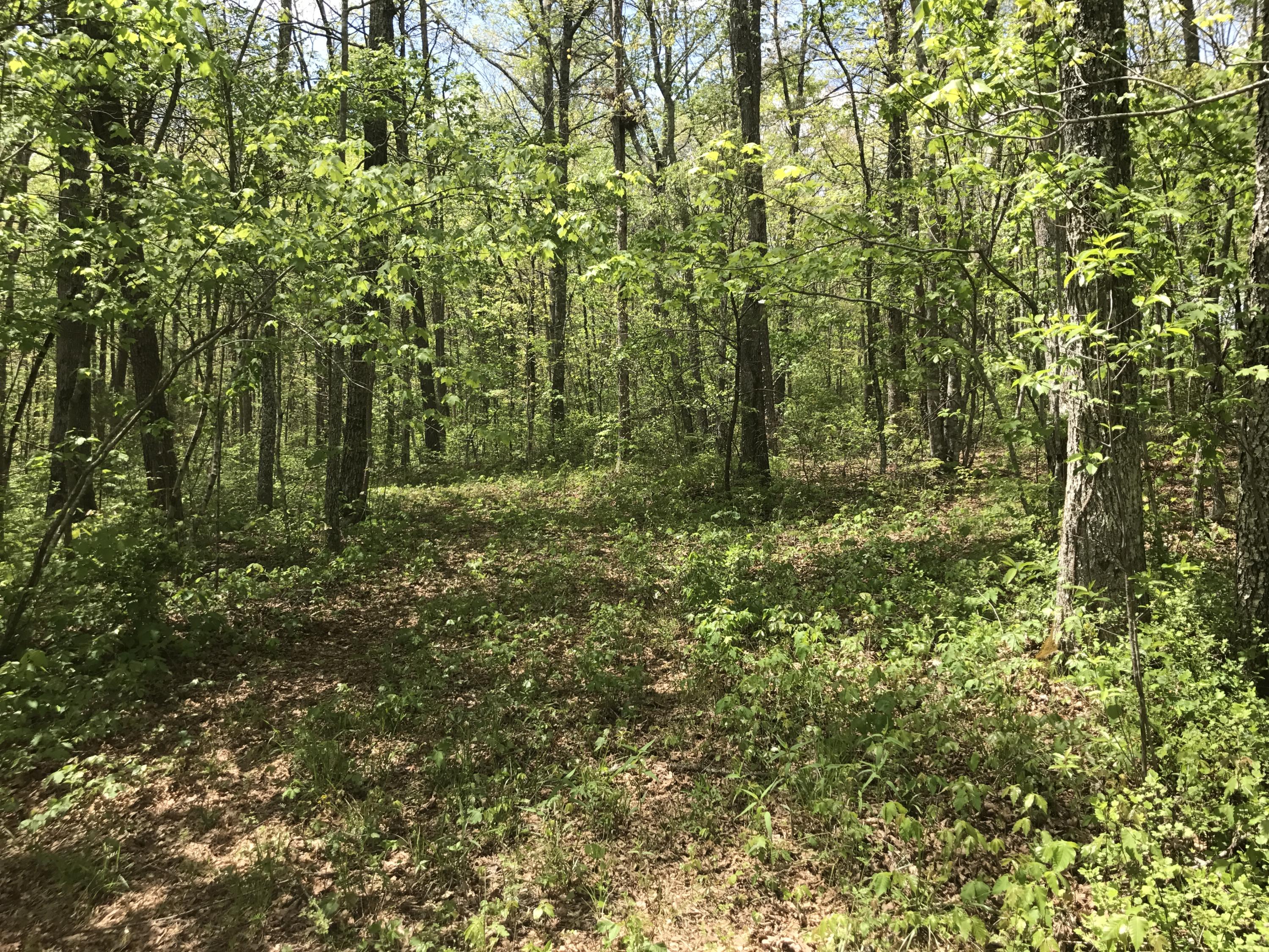 27 Henson Gap Road Dunlap, TN 37327 - Photo 5 of 47 IMG_1617